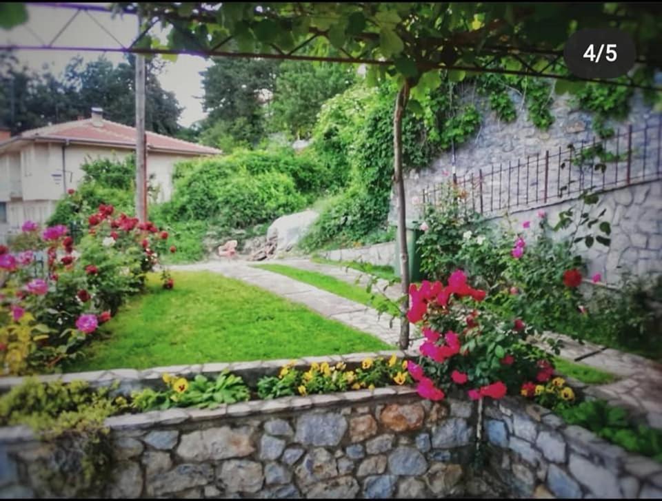 Snegar Apartments Ohrid Exterior foto